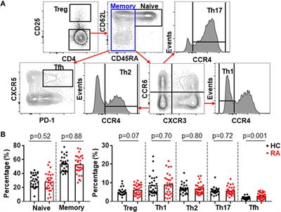 Signal Transducer and Activator of Transcription 3 Hyperactivation Associates With Follicular Helper T Cell Differentiation and Disease Activity in Rheumatoid Arthritis